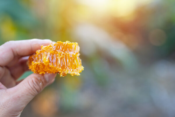 Tea Tree Honey Comb 800g - 图片 5
