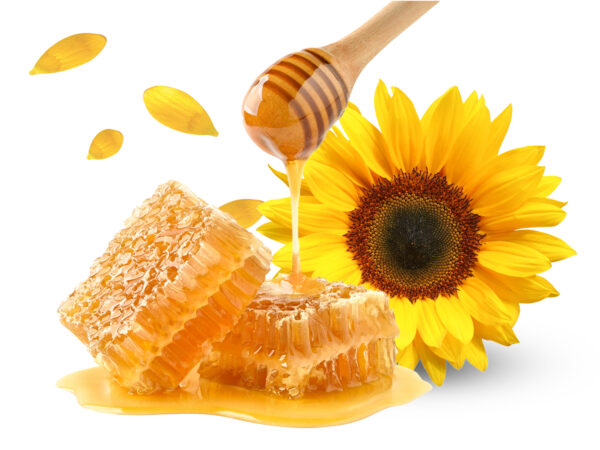 Sunrise Gold Honey Comb 800g