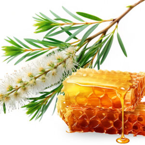 Melaleuca Hoeny Comb 800g